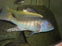 DSCN1202.jpg