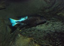 DSC_1703.jpg