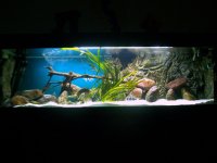 Nuovo Layout mod 003.jpg Nuovo Layout mod 003.jpg