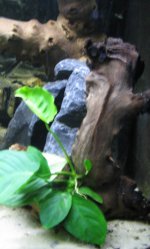 IMG_8677.jpg IMG_8677.jpg
