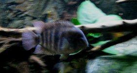 IMG_8704.jpg IMG_8704.jpg