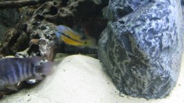 IMG_8710.jpg