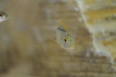 DSC_8028.jpg