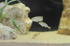 DSC_8034.jpg