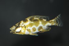 DSC_8053.jpg