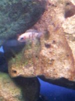 2011-11-05 20.34.04.jpg