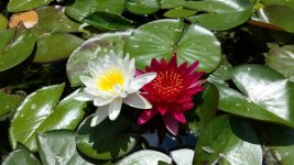 uploadfromtaptalk1373405147683.jpg