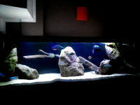 2013-09-02 22.38.05.png