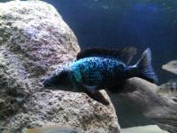 2013-09-02 22.45.05.png