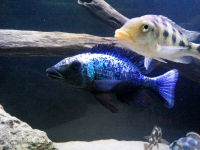 2013-09-02 22.38.25.png