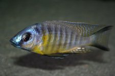 IMG_0023.JPG
