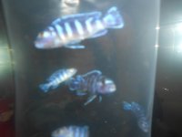 DSCN1811.jpg