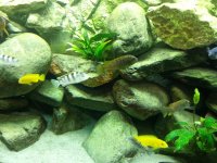 20131211_112601[1].jpg