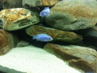 20131007_115935.jpg