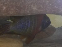 20131214_175834.jpg