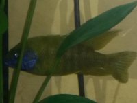 20131214_175827.jpg