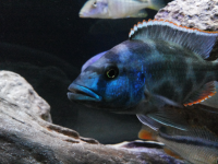 2013-10-26 00.26.15.png