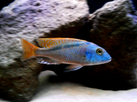 2013-11-12 00.29.52.png