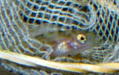 DSC06799.jpg