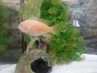 20140215_143435.jpg