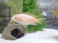 20140215_143434.jpg