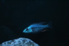 IMG_2011.jpg
