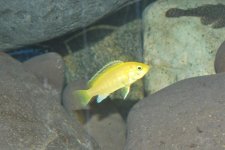 DSC_0154.jpg