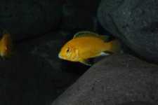 DSC_0267.jpg