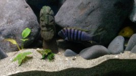 20140517_184611.jpg