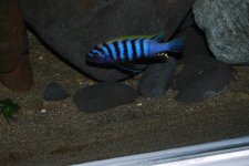 DSC_0360.jpg