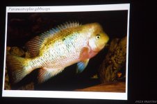 IMG_8339.jpg