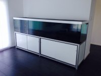 ImageUploadedByTapatalk1405318204.757051.jpg