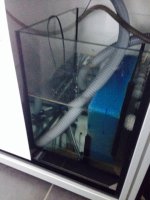 ImageUploadedByTapatalk1405578875.589539.jpg