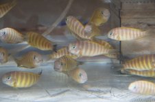 IMG_8152.jpg