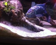 IMG_1507.jpg