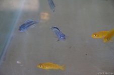 IMG_8224.jpg