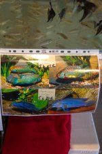 IMG_8254.jpg