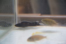 IMG_8264.jpg