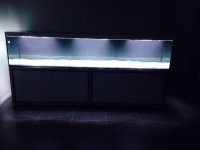 ImageUploadedByTapatalk1407353564.725768.jpg