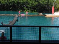 10612632_710356459047284_7889312245117295487_n.jpg