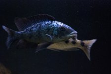 DSC_0160.jpg