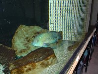 marzo2012 179.jpg
