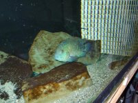 marzo2012 180.jpg