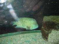 marzo2012 181.jpg