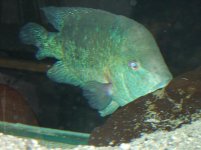 marzo2012 183.jpg