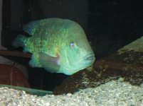 marzo2012 185.jpg