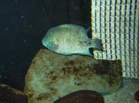 marzo2012 188.jpg