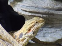 marzo2012 008.jpg