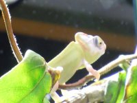 marzo2012 011.jpg