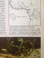 ImageUploadedByTapatalk1413474286.461793.jpg